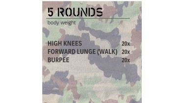 Full body workout: 5 rounds - body weight