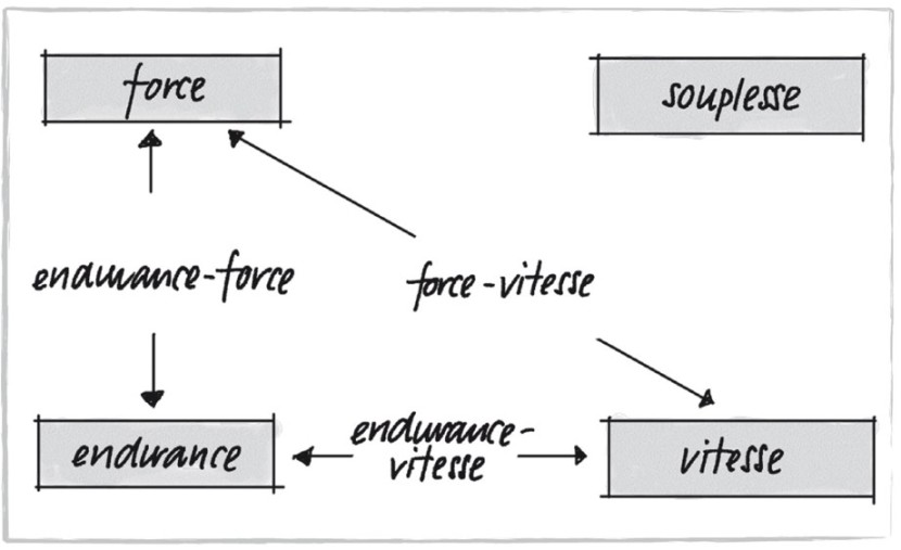 Le potentiel de condition physique