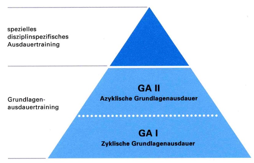 Methodological aspects of endurance training